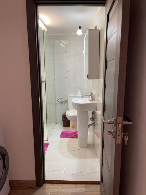 Lavender Luxury Apartment Oradea Exteriér fotografie