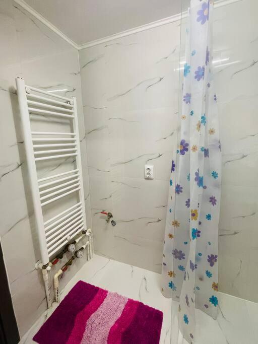 Lavender Luxury Apartment Oradea Exteriér fotografie