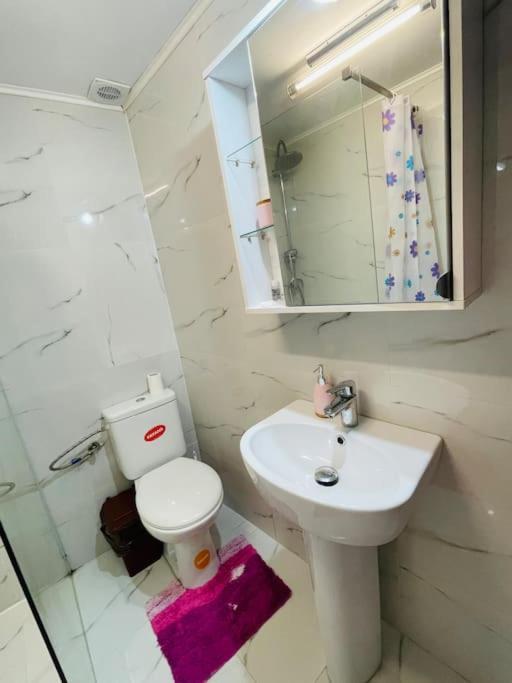 Lavender Luxury Apartment Oradea Exteriér fotografie
