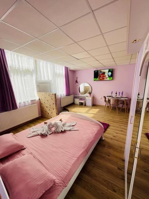 Lavender Luxury Apartment Oradea Exteriér fotografie